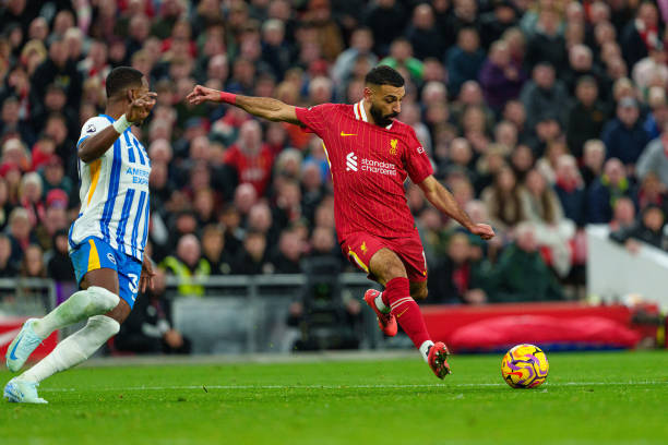 他不仅保护 他不仅保护